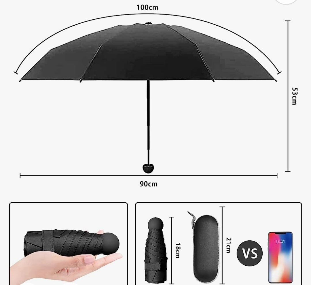 Regenschirm mini schwarz mit Hartschalenetui