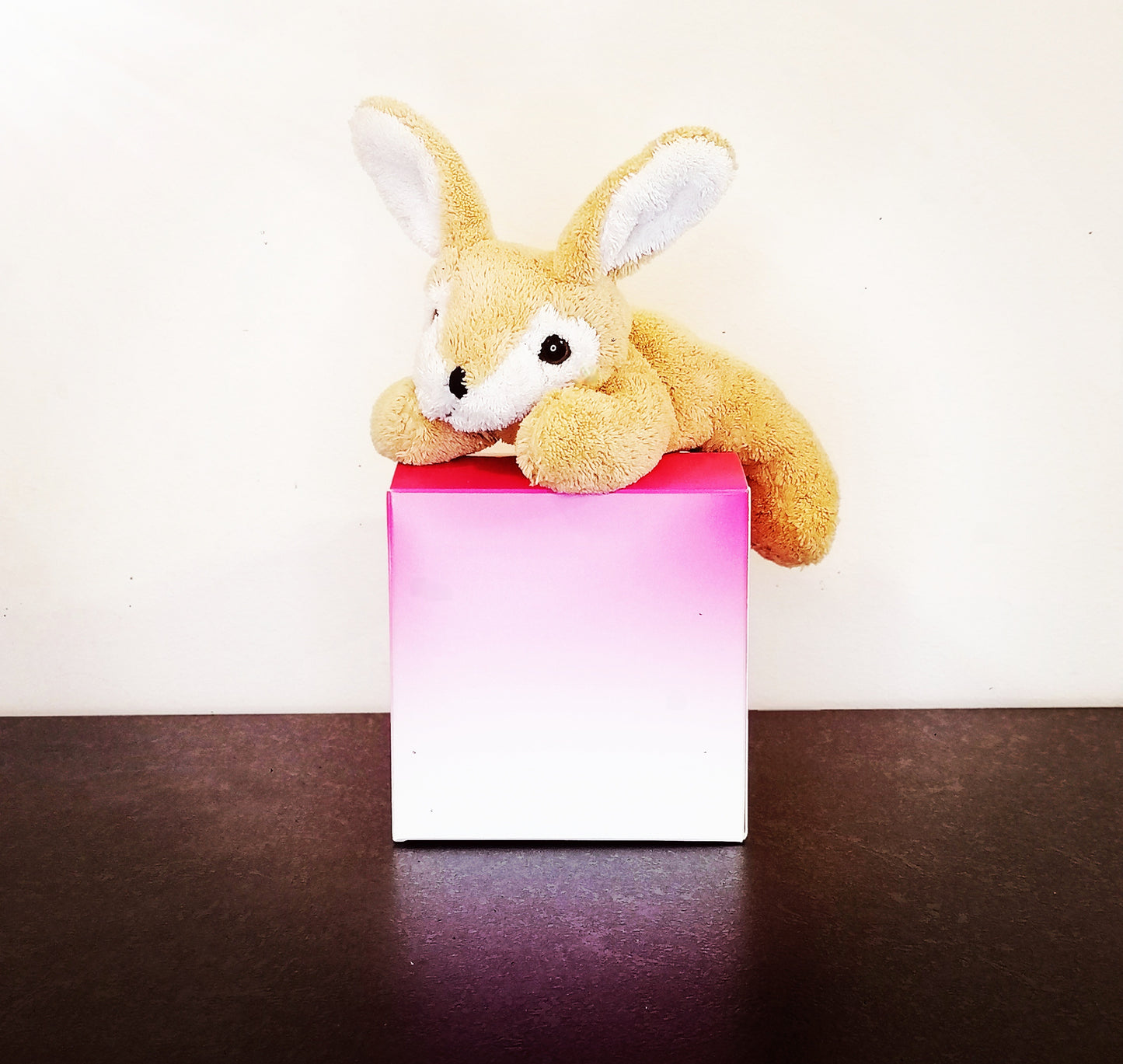 Plüschtier Hase