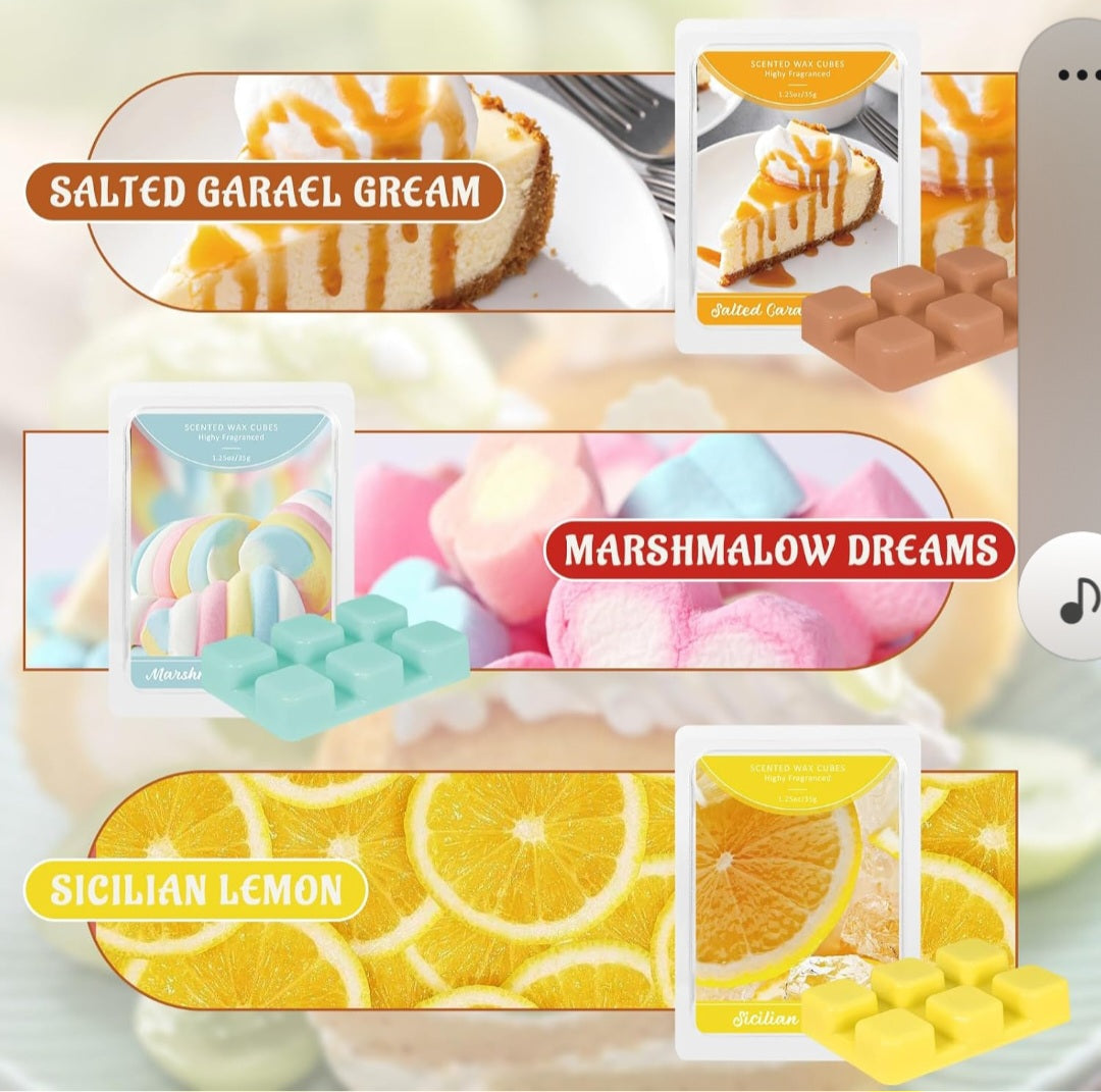 Duftwachs für Duftlampen, Winterdüfte, Sojawachs, 6 Stk/Packung