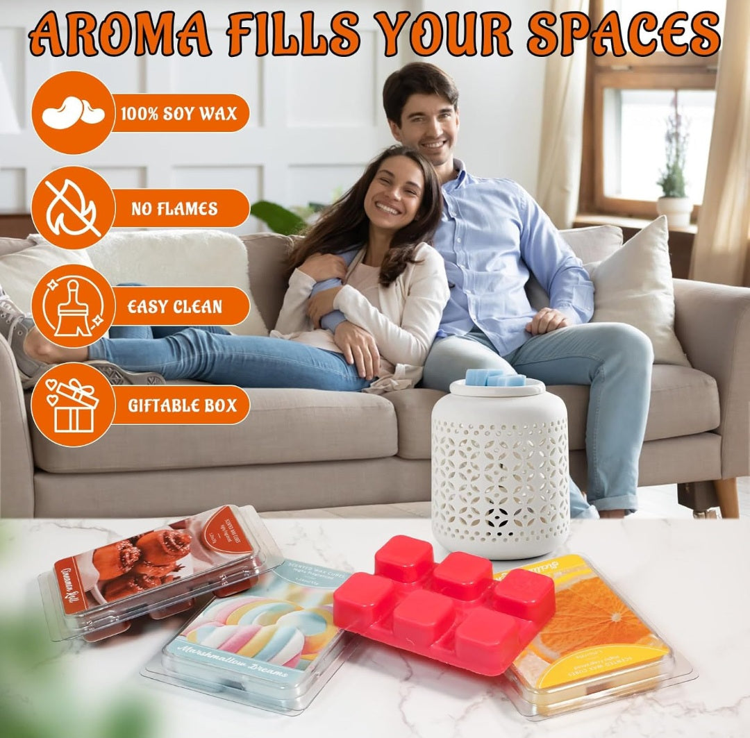 Duftwachs für Duftlampen, Winterdüfte, Sojawachs, 6 Stk/Packung